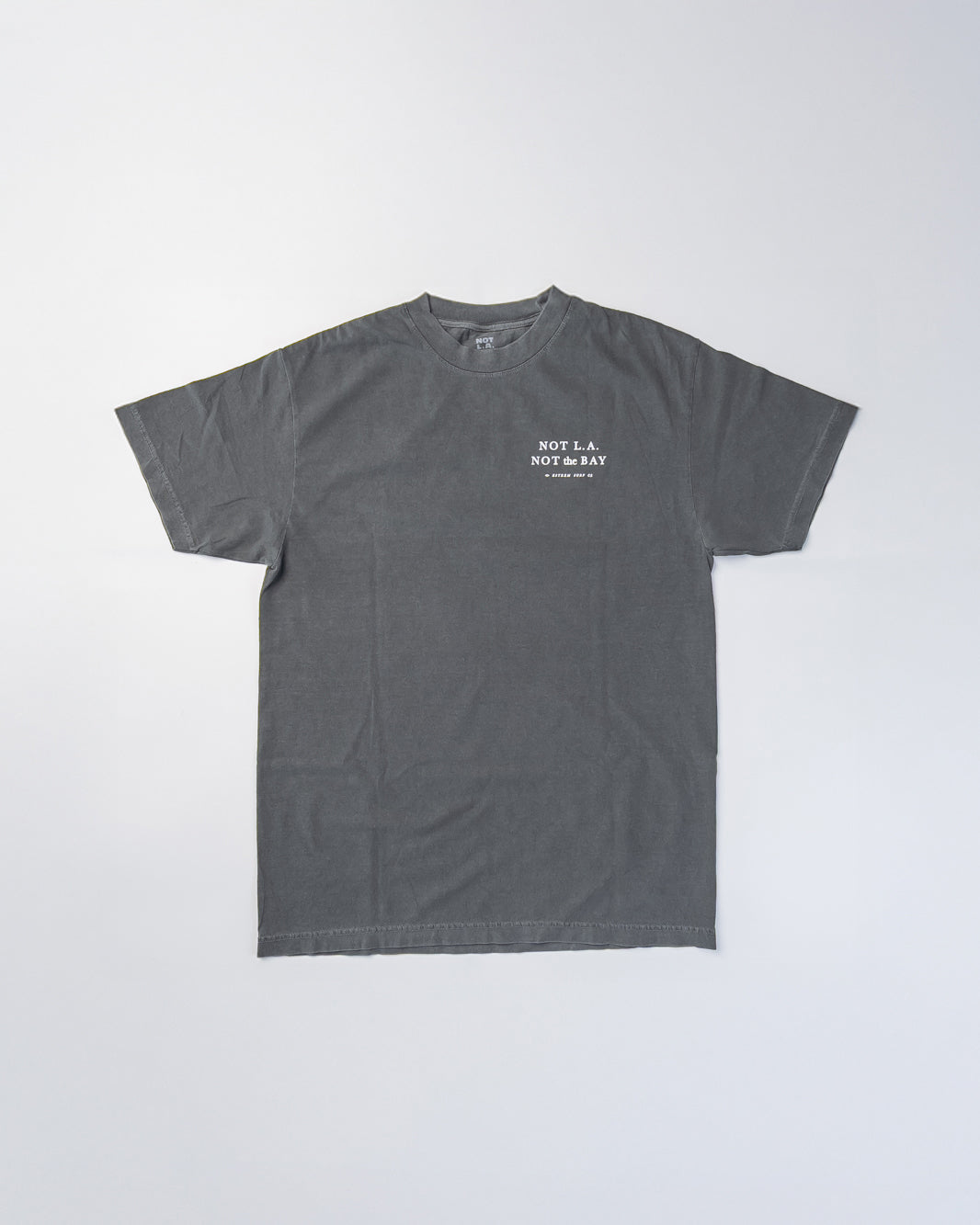 ESTEEM SURF Tシャツ グレー カリフォルニア 買い付け 日本未発売 メンズ レディース