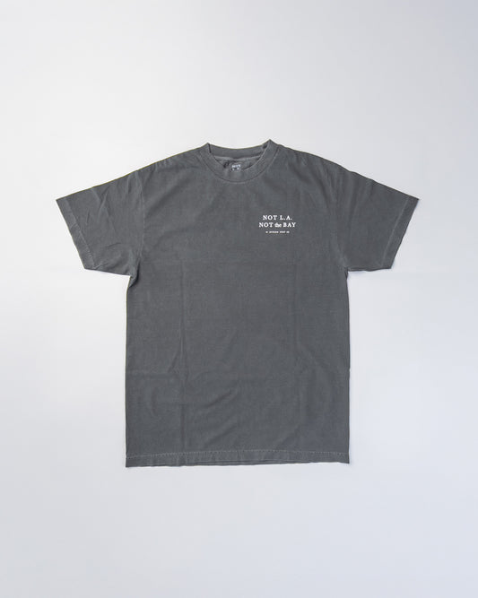 ESTEEM SURF Tシャツ グレー カリフォルニア 買い付け 日本未発売 メンズ レディース