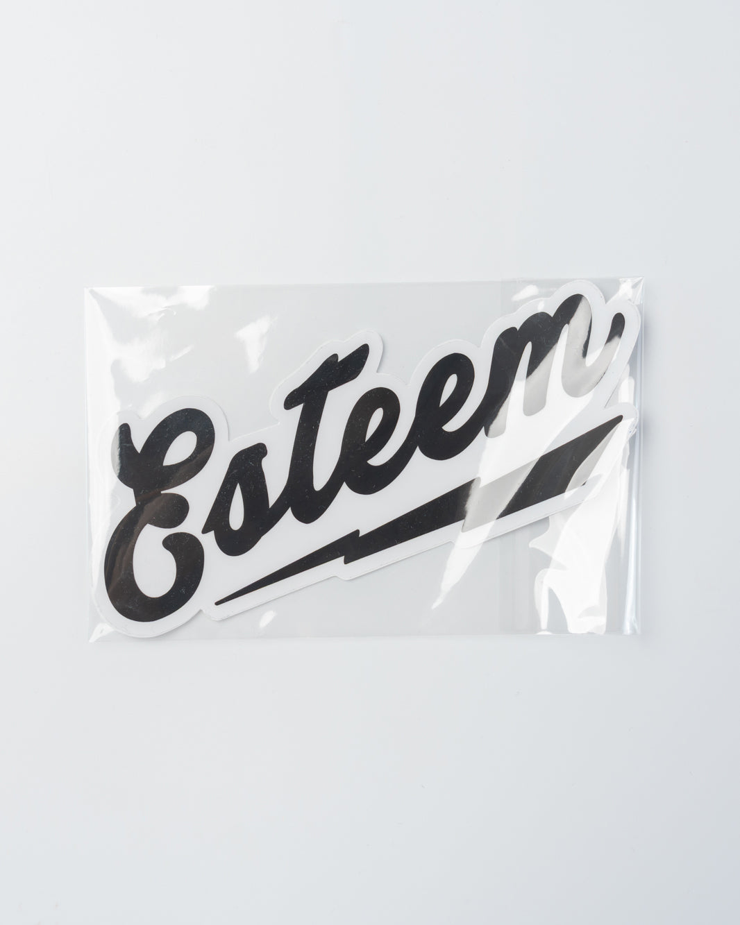 ESTEEM sticker
