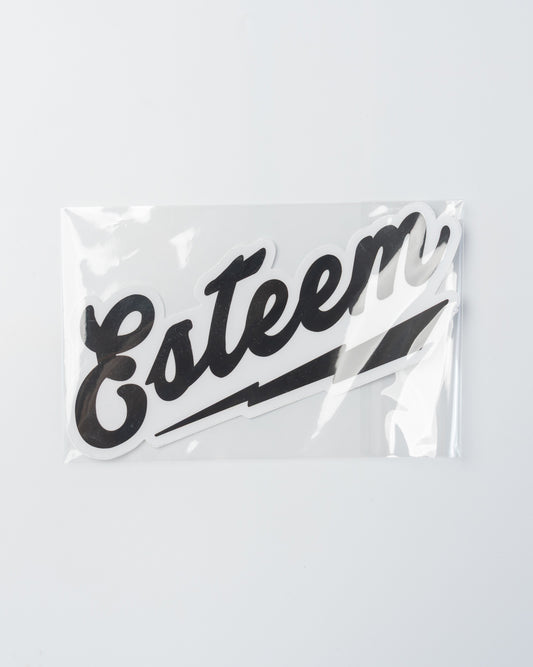 ESTEEM sticker